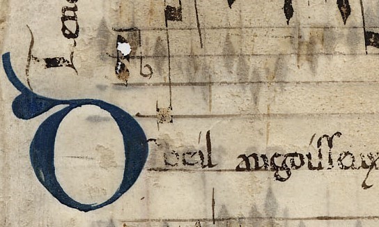 Il codice di Lucca al tempo dei Guinigi